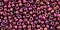 Toho 11/0 Round Japanese Seed Bead, TR11-502, High Metallic Amethyst